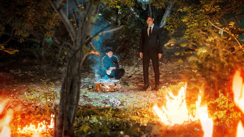 Scene 5