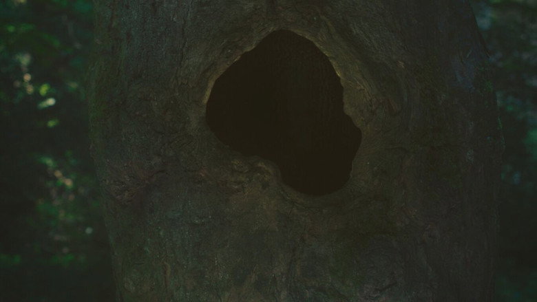 Earthen backdrop