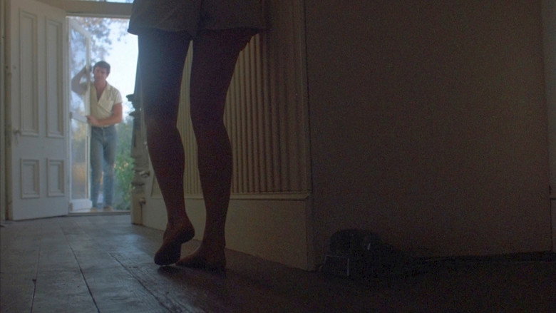 Scene 5