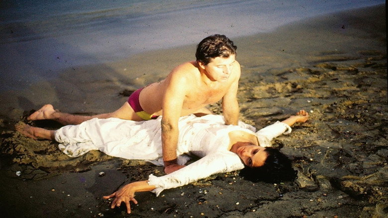 Scene 4