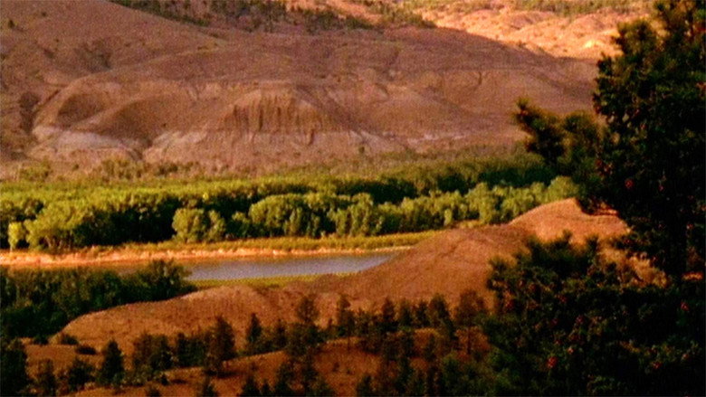 Scene 3