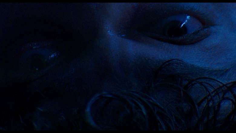 Scene 5