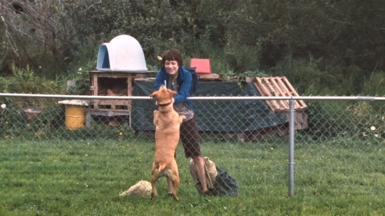 Scene 4