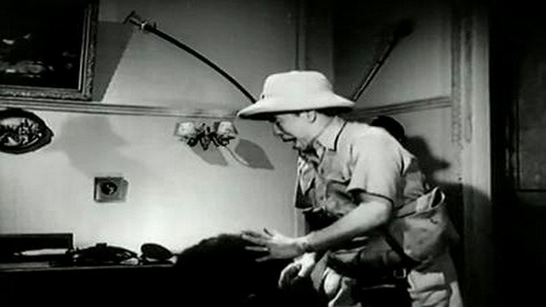 Scene 5