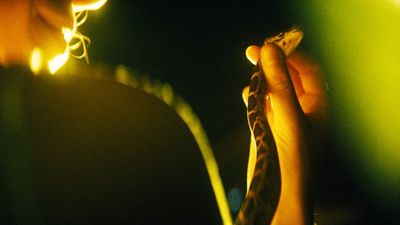 Scene 5