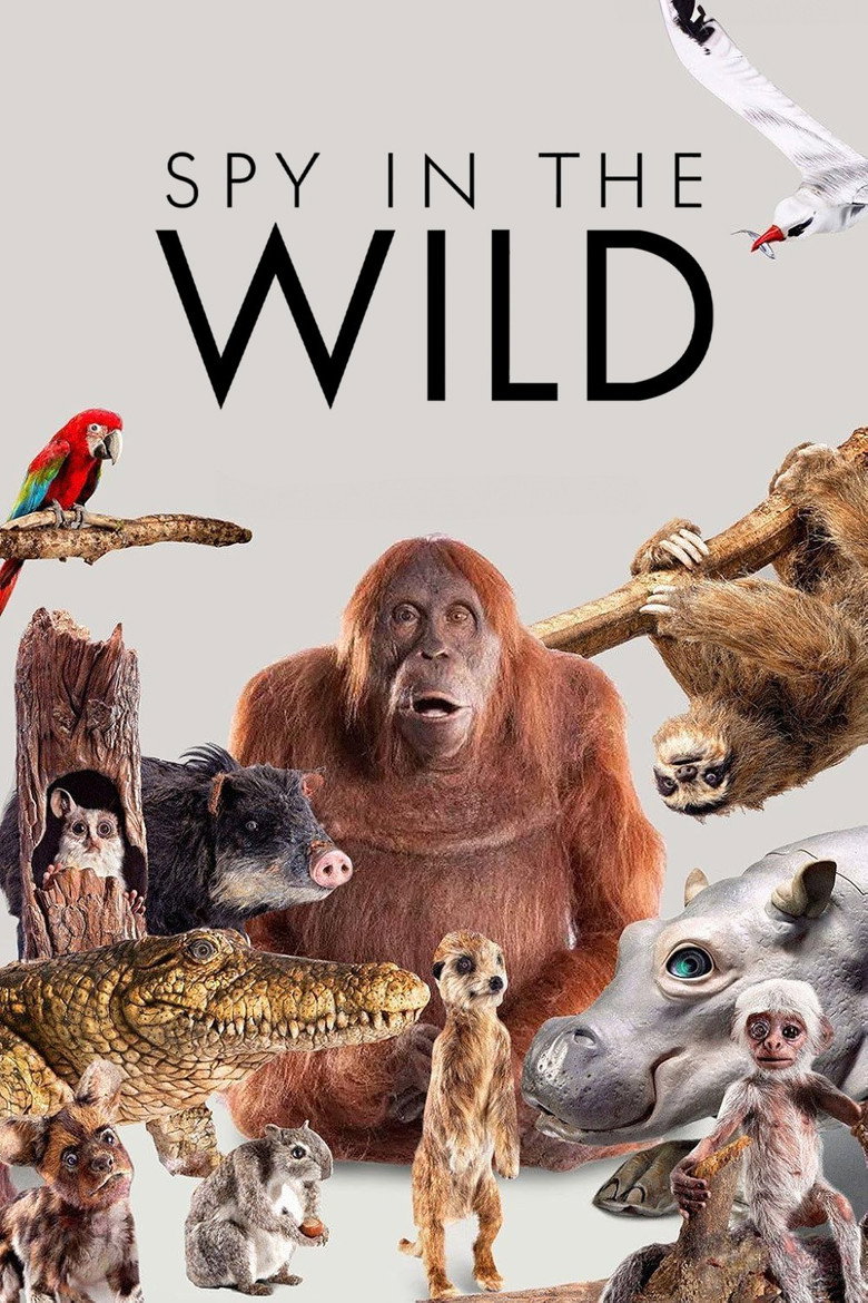 Poster 5
