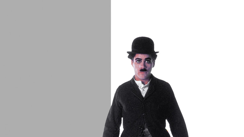 Scene 5