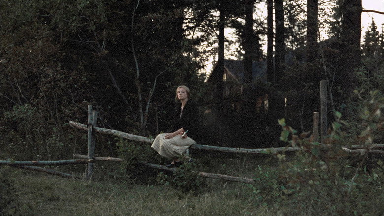 Scene 3