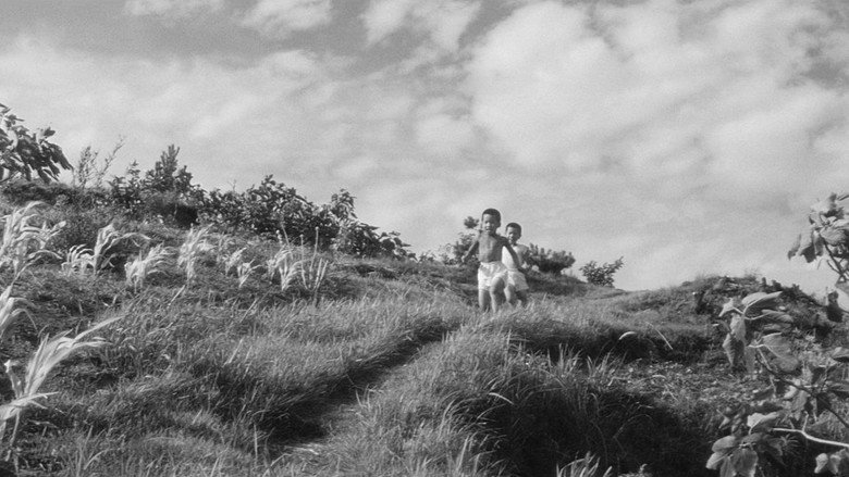 Scene 3
