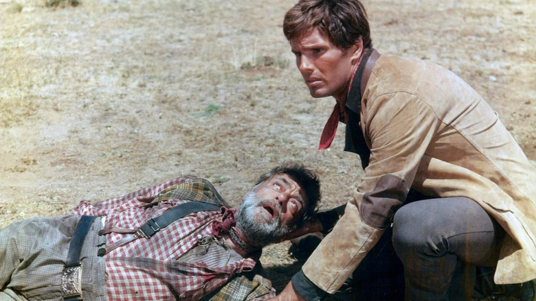 Scene 4