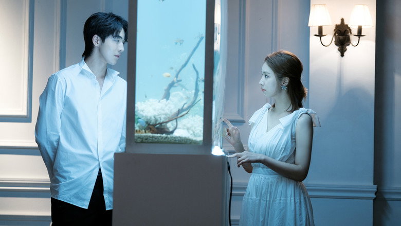 Scene 5