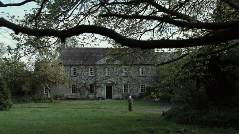 Scene 5