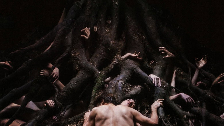 Scene 5