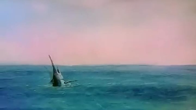 Scene 5