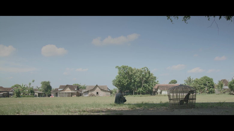 Scene 5