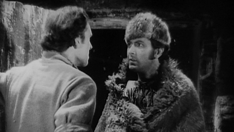 Scene 5