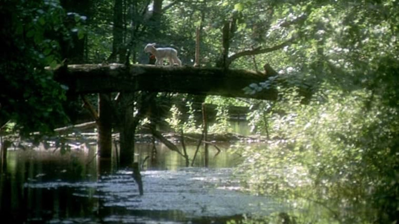Scene 4