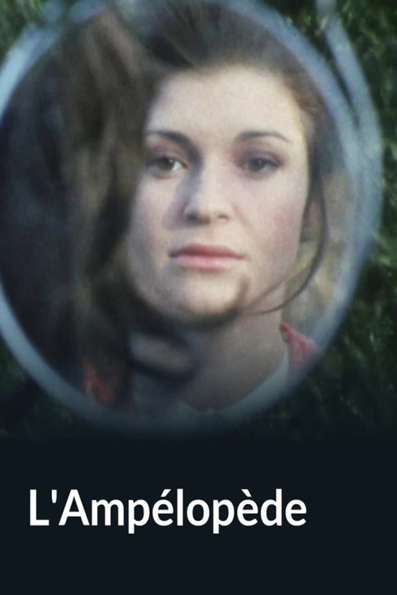 Poster 2