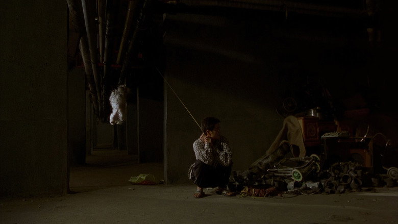 Scene 5