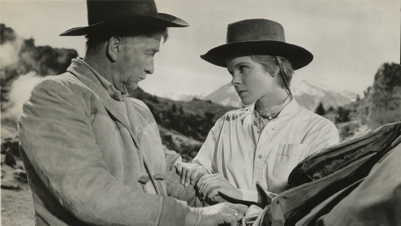 Scene 3