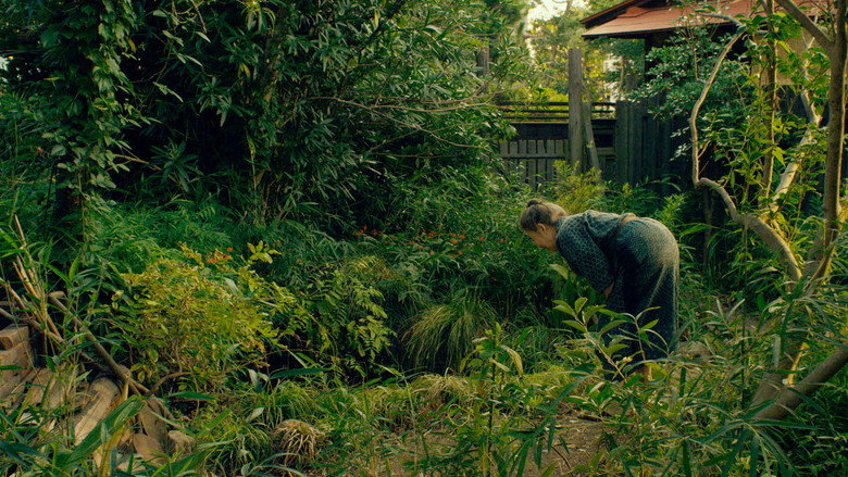 Scene 5