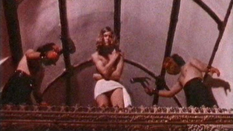 Scene 5