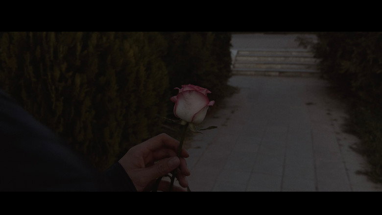 Scene 3