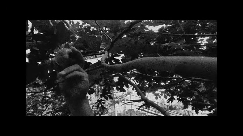 Scene 5