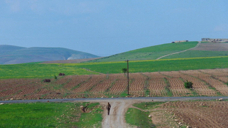 Scene 5