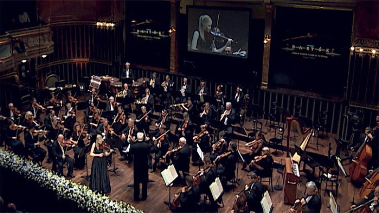 Hegedűország.hu backdrop
