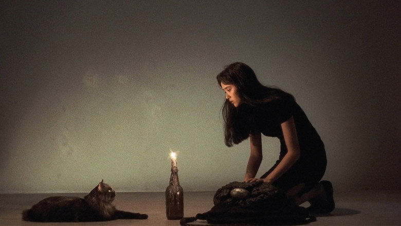 Scene 3