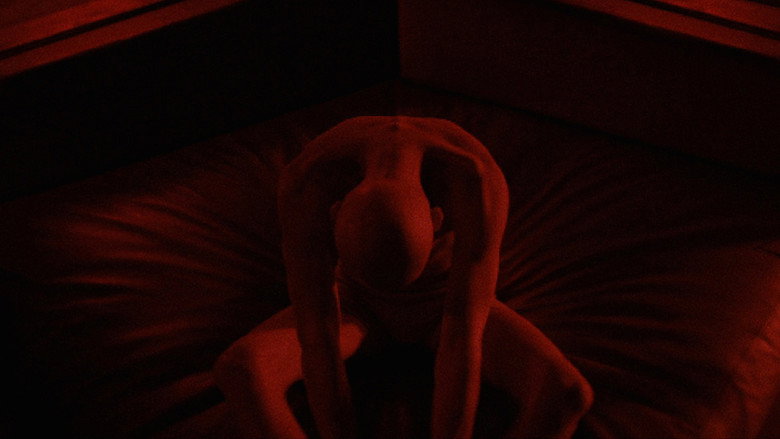 Scene 4