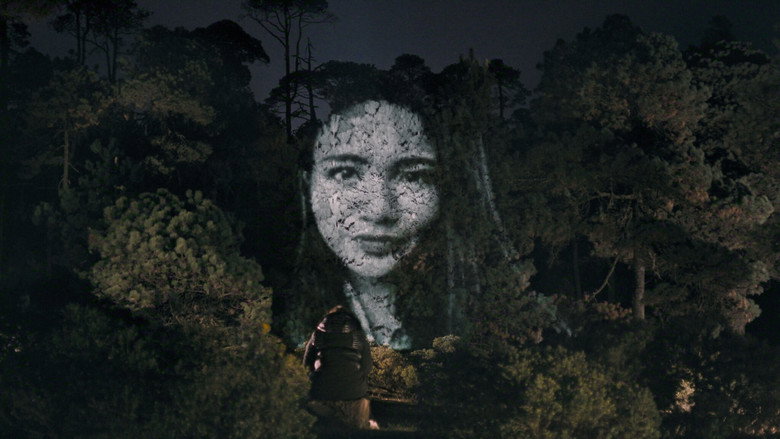 Scene 3