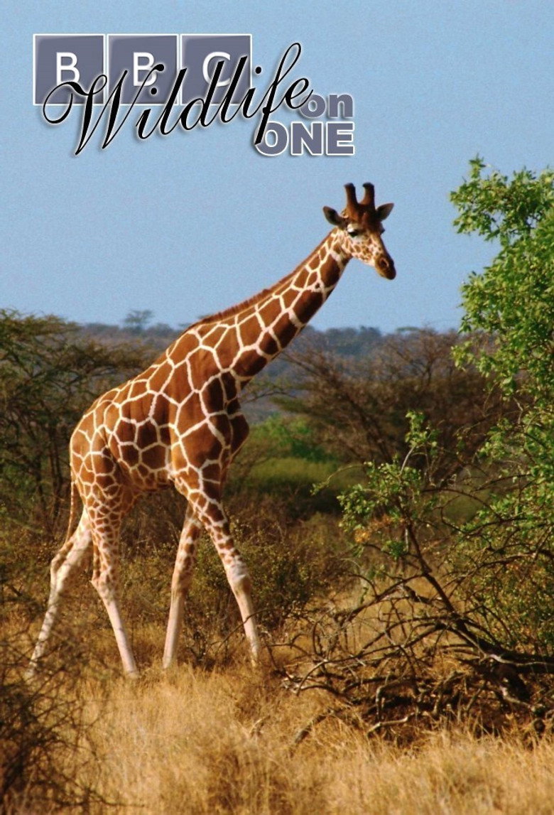 Poster 1