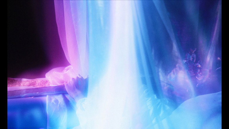 Scene 3