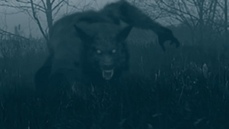 The Bray Road Beast