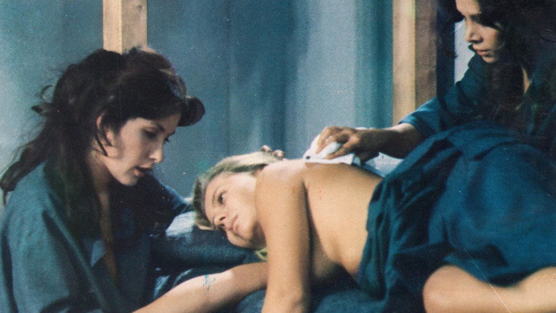 Scene 5