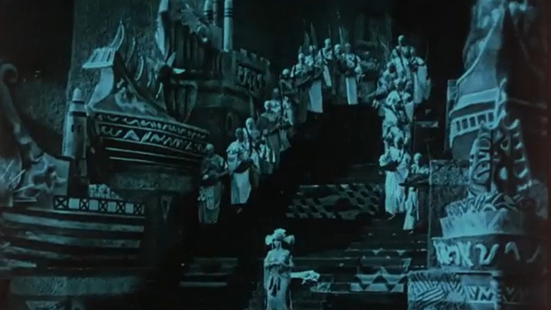 Scene 5
