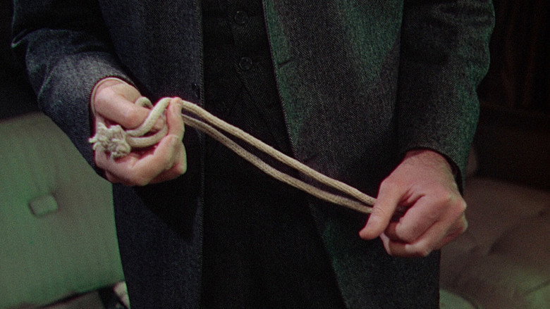 Scene 5