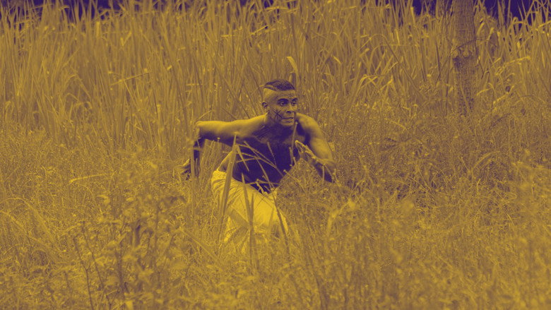Memória: História é filme, não é foto. backdrop
