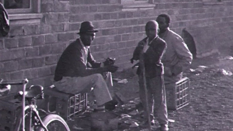 Scene 5