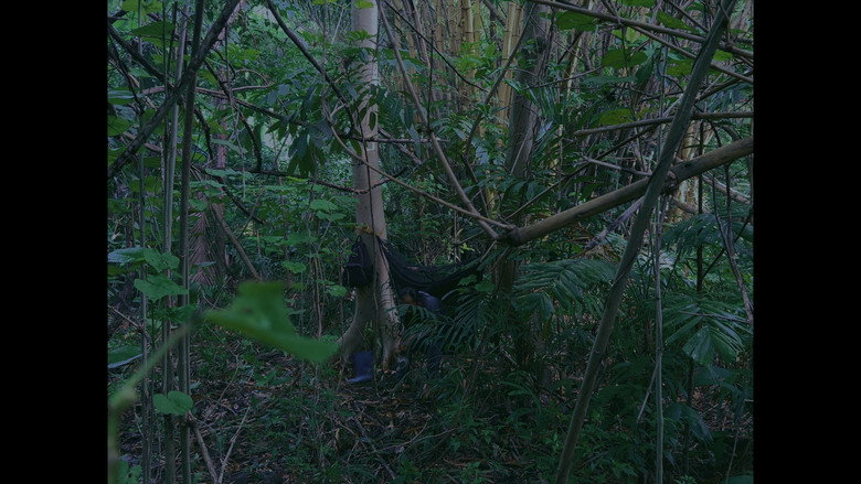 Scene 4