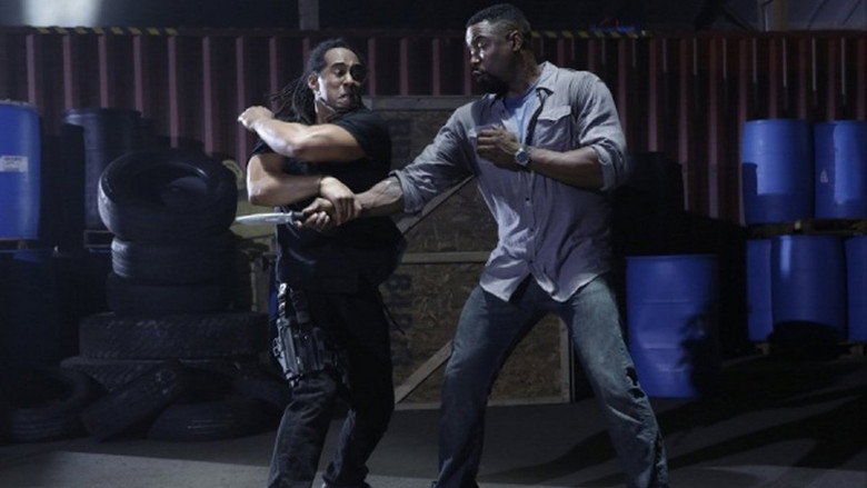 Scene 5