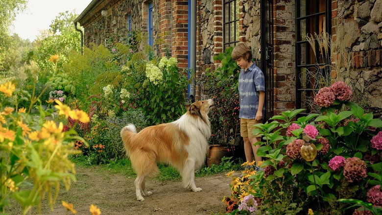 Scene 3
