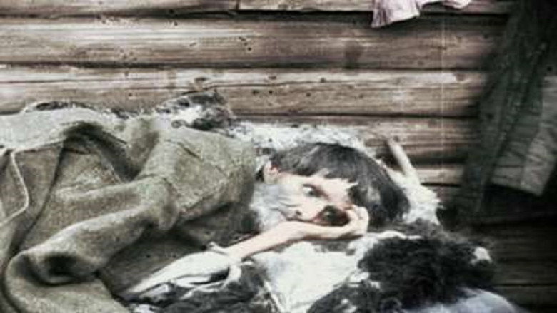 Scene 3