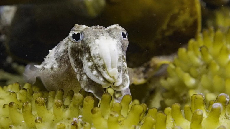 Scene 3