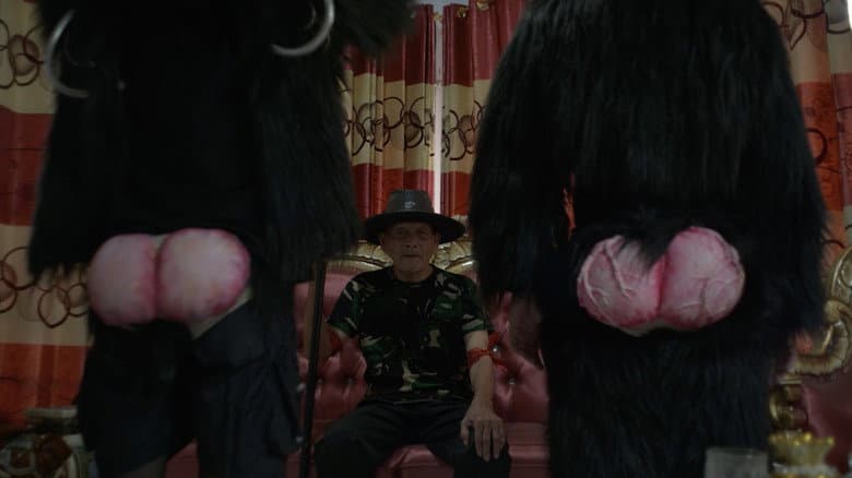 Primate Visions; Macaque Macabre backdrop