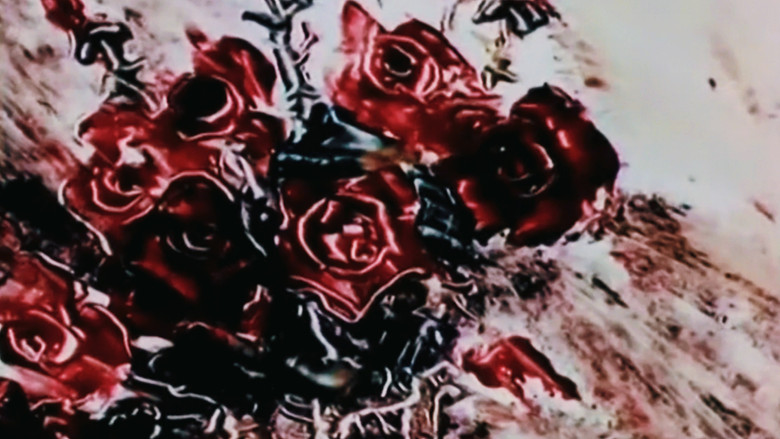 Rose backdrop