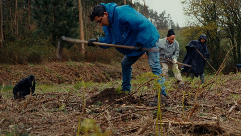 Scene 5