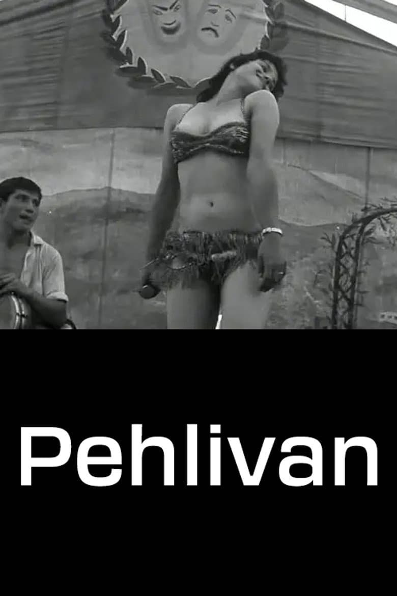 Poster 2